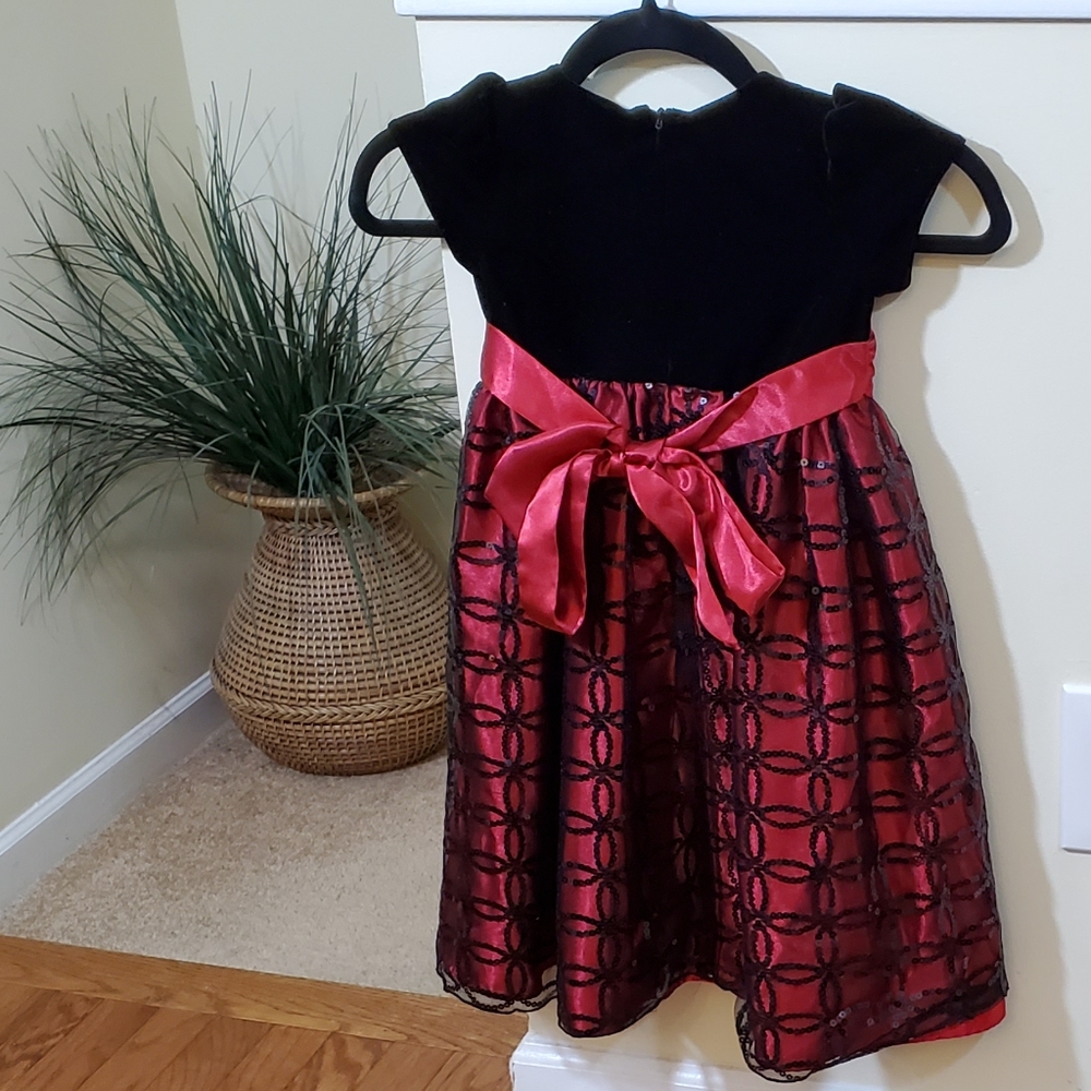 Cinderella Velvet Embroidered Girls Dress - Picture 2 of 8